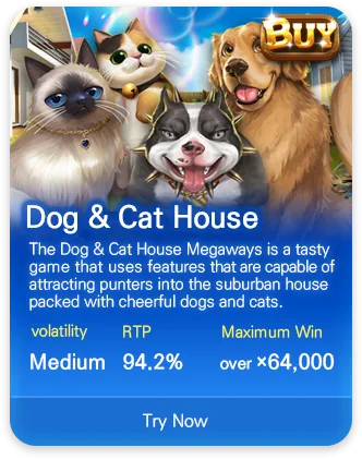 DSW slot game MPT021