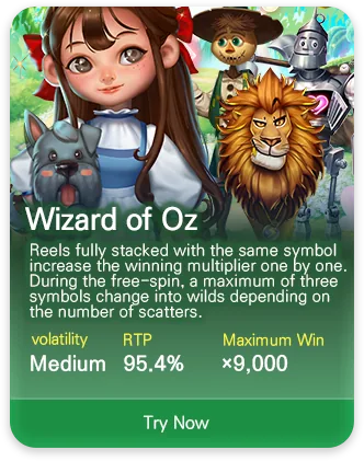 DSW slot game MPT029
