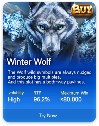 DSW slot game MPT034