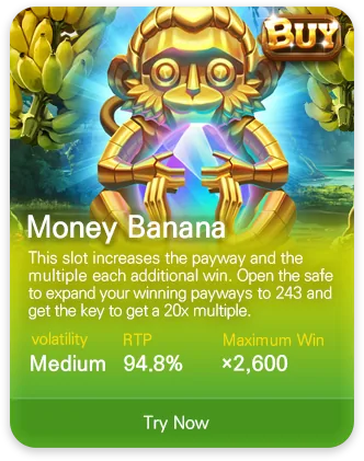 DSW slot game MPT036