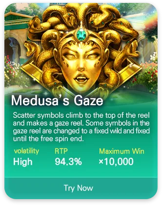 DSW slot game MPT041