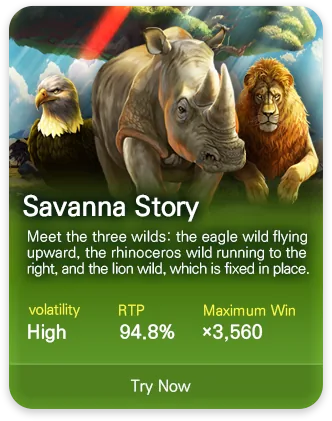 DSW slot game MPT043