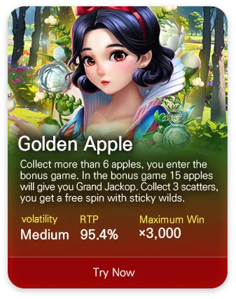 DSW slot game MPT056