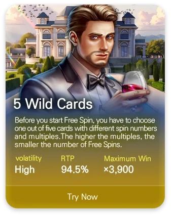 DSW slot game MPT062