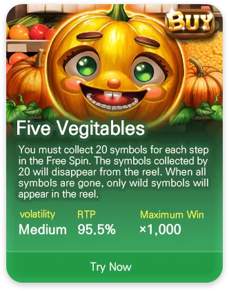 DSW slot game MPT069