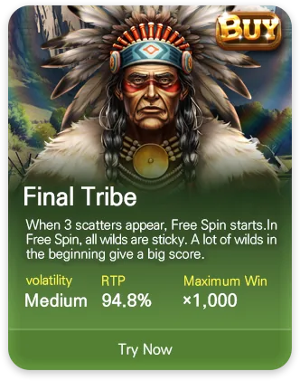 DSW slot game MPT070