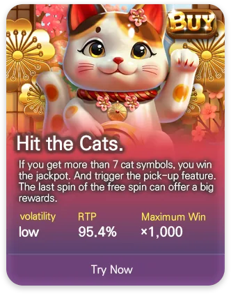DSW slot game MPT077
