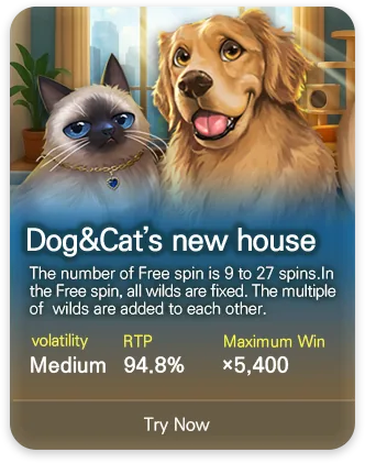 DSW slot game MPT082