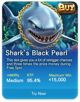 DSW slot game MPT096